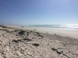 een zandstrand met mensen die op het strand lopen bij Ocean Breeze Cottage, Cape Agulhas in Struisbaai