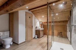 a bathroom with a toilet and a glass shower stall at La Bastide - Grand chalet privé - Quartier calme in Les Houches +23 photos