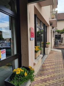 a store front with flowers in a window at Hôtel Foulquier in Decazeville +18 photos