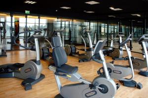 une salle de sport avec plusieurs rangées d'appareils de cardio-training dans l'établissement Hôtel Barrière le Grand Hôtel Enghien-les-Bains, à Enghien-les-Bains