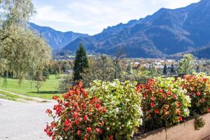 a garden with red flowers and mountains in the background at Ferienwohnung Edelweiß in Bad Reichenhall