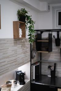 Kuchyň nebo kuchyňský kout v ubytování Cori ri Palermo + 3 fotografie