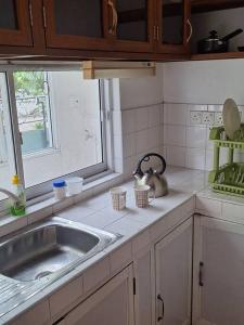 Η κουζίνα ή μικρή κουζίνα στο Home Away from Home