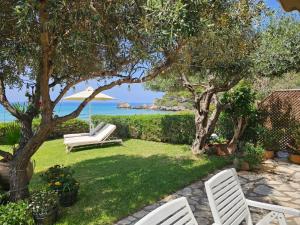 a lawn with two chairs and a tree and the ocean at Corfu Dream Holidays Villas in Glyfada