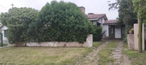 une maison avec un grand arbre dans la cour dans l'établissement Casa Cedrón, à Mar del Plata