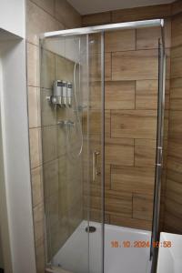 una doccia con una porta in vetro in un bagno di Flynnhouse a Aš Altre 11 foto