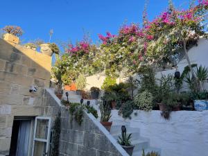 Φωτογραφία από το άλμπουμ του No 7 Casa Nannakola σε Naxxar +46 φωτογραφίες