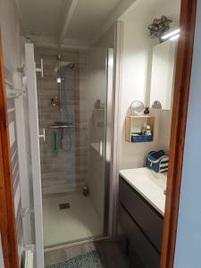 a bathroom with a shower and a sink at La Cachotière du Lac in Giffaumont-Champaubert