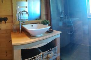a bathroom with a sink and a shower at Chalet au cœur du massif des Bauges in La Féclaz +16 photos