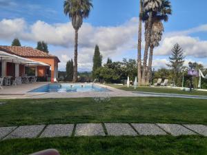 a backyard with a swimming pool and palm trees at Retiro dos Cedros - Quarto Adega in Fogueira
