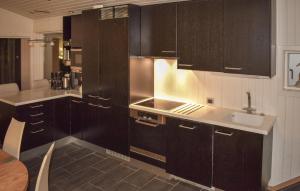 Η κουζίνα ή μικρή κουζίνα στο Stunning Home In Trysil With Sauna