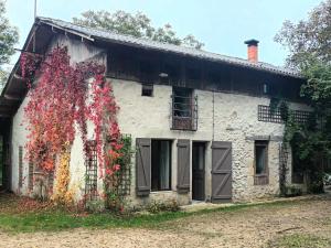 an old stone house with a vine at Gîte-Nature-Poitou in Archigny