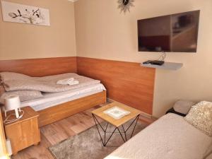 Televízia a/alebo spoločenská miestnosť v ubytovaní ApartHouse Apartamenty Centrum - In the city center Near the train station