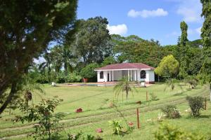 Zahrada ubytování Banyan Grove