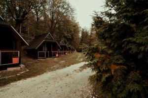 a row of cabins on a dirt road next to trees at Camping Veverita in Vatra Dornei