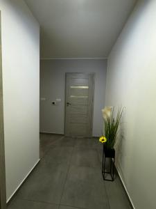 Fotografia z galérie ubytovania Apartament Kosakowo obok Gdyni v destinácii Kosakowo