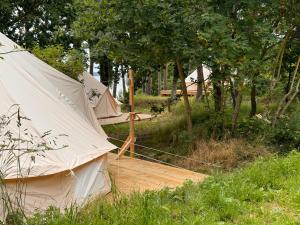 Zahrada ubytování Glamping Lodges Red Woods Usedom + 7 fotografií