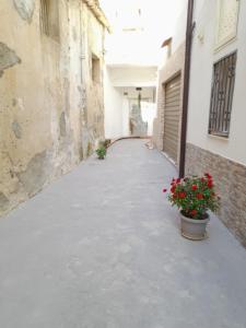 an alley with two pots of flowers in a building at Casa Vassallo Centro Storico in Sciacca