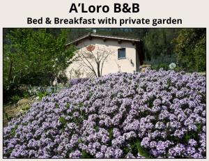 Zahrada ubytování A'Loro B&B