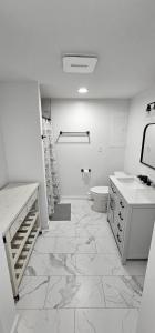 a white bathroom with a toilet and a sink at Aria Pocono Home in Tobyhanna