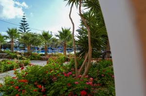Taman di luar Castro Hotel