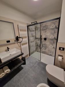 a bathroom with a shower and a sink and a toilet at Agriturismo Borgo Riva Granda in Col San Martino +73 photos