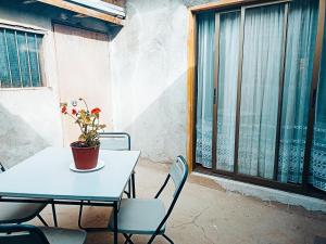 ein Tisch und Stühle mit einer Topfpflanze darauf in der Unterkunft Casa Rivera in Rivadavia