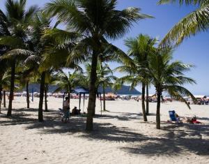 a group of palm trees on a sandy beach at Apê Temporada II Praia Grande SP Completo com Piscina, Churrasqueira, Estacionamento in Praia Grande