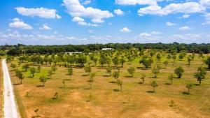 an aerial view of a field with trees and a road at Pecan Farm Haus in Fredericksburg