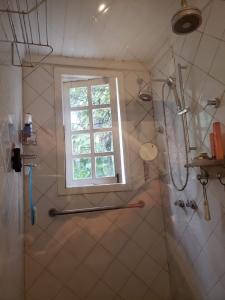 a bathroom with a shower and a window at Flor da Serra in Brumadinho