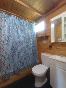 a bathroom with a toilet and a shower at Cabaña ALUMCO in Tigre