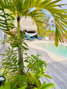 Bassein majutusasutuses Villa Amaryllis luxueuse,piscine,vue mer,plage või selle lähedal