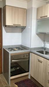 eine kleine Küche mit Herd und Spüle in der Unterkunft Concepción pleno centro in Concepción