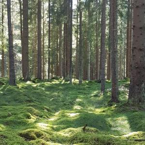 Fotografie z fotogalerie ubytování Nice Home In Värnamo With 2 Bedrooms And Wifi v destinaci Värnamo