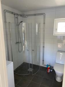 a bathroom with a shower and a toilet at Awesome Home In Vena With 1 Bedrooms And Jacuzzi in Vena