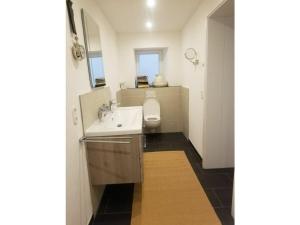 a bathroom with a sink and a toilet at Hillen Comfortable holiday residence in Wallenborn +20 photos