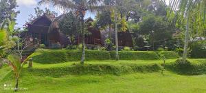a house in the middle of a green yard at Sugita Wooden House 2 in Payangan