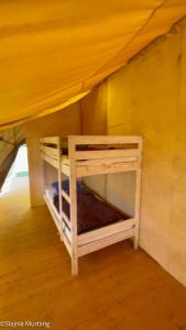 Pokój z 2 łóżkami piętrowymi w namiocie w obiekcie Spokojny Glamping w mieście Rzucewo