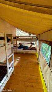 Palanda nebo palandy na pokoji v ubytování Spokojny Glamping