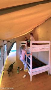 Palanda nebo palandy na pokoji v ubytování Spokojny Glamping