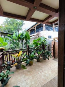 a patio with a bunch of plants in pots at Toto's House Room Rental in Puerto Princesa City