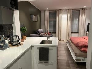 トロンハイムにあるKoselig leilighet ved Solsidenのシンク付きのキッチンとベッドが備わった部屋