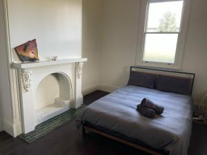 a bedroom with a bed with a fireplace at The Eagle's Nest in Manilla