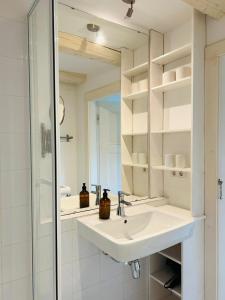 a bathroom with a sink and a mirror at Teyhörn im Pilsumer Hof in Krummhörn