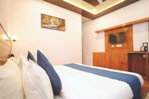 Televisyen dan/atau pusat hiburan di Hotel kasauli view café restaurant open terrace mountain view