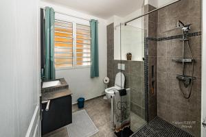 une salle de bain avec une douche, des toilettes et un lavabo dans l'établissement L'heure Dorée - Charmant appartement vue mer, à Saint-Pierre
