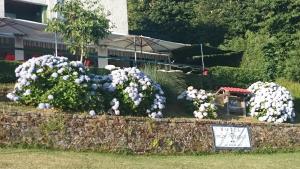 Zahrada ubytování Hotel Los Duques