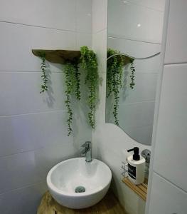 メルカート・サン・セヴェリーノにあるAlisa suiteのバスルーム(シンク、植物の鏡付) +6枚の写真