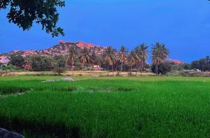 Příroda nedaleko penzionu