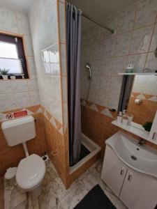 a bathroom with a shower and a toilet and a sink at FewoSaric Apartment Marlon in Vir +24 photos